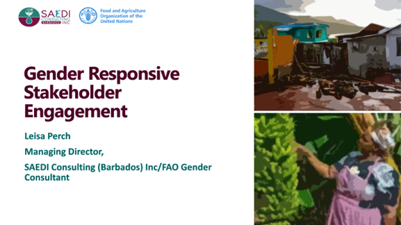 Resilient Caribbean Initiative - Capacity Building for Gender-responsive Stakeholder Engagement | SAEDI Consulting Barbados Inc